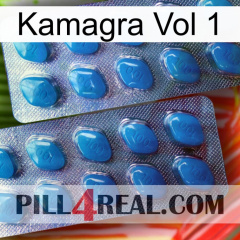 Kamagra Vol 1 viagra2